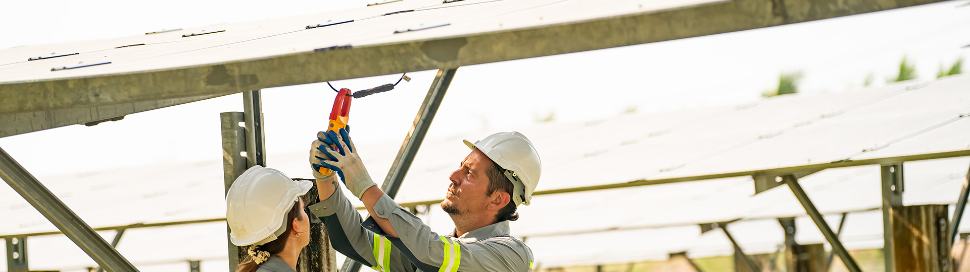 Harnessing Solar Power: Aura Farm’s Commitment to Sustainability and Energy Self-Sufficiency