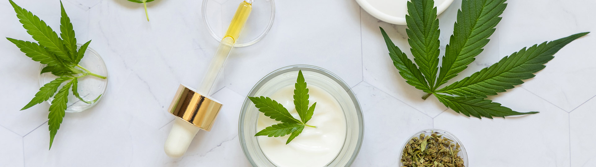 Legal Cannabis: A Booming Global Industry