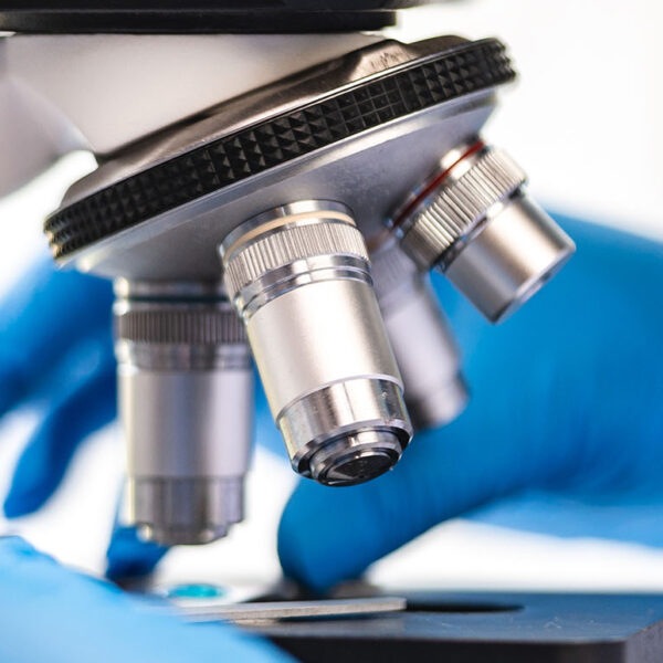 biotechnology scientist using scientific microscope for research in biology medicine laboratory, equipment for chemistry science or microbiology analysis in term of medical technology experiment